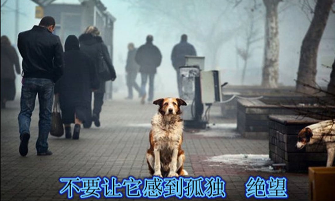 浙江浙江爱影圈微博微信转发案例